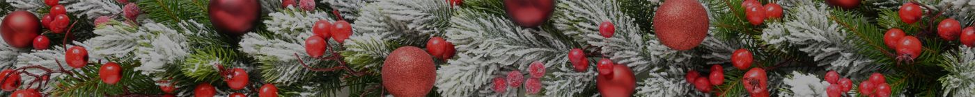 christmas banner (2000 x 200 px).jpg