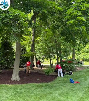reviews-for-landscapers-in-madison-wi.jpg