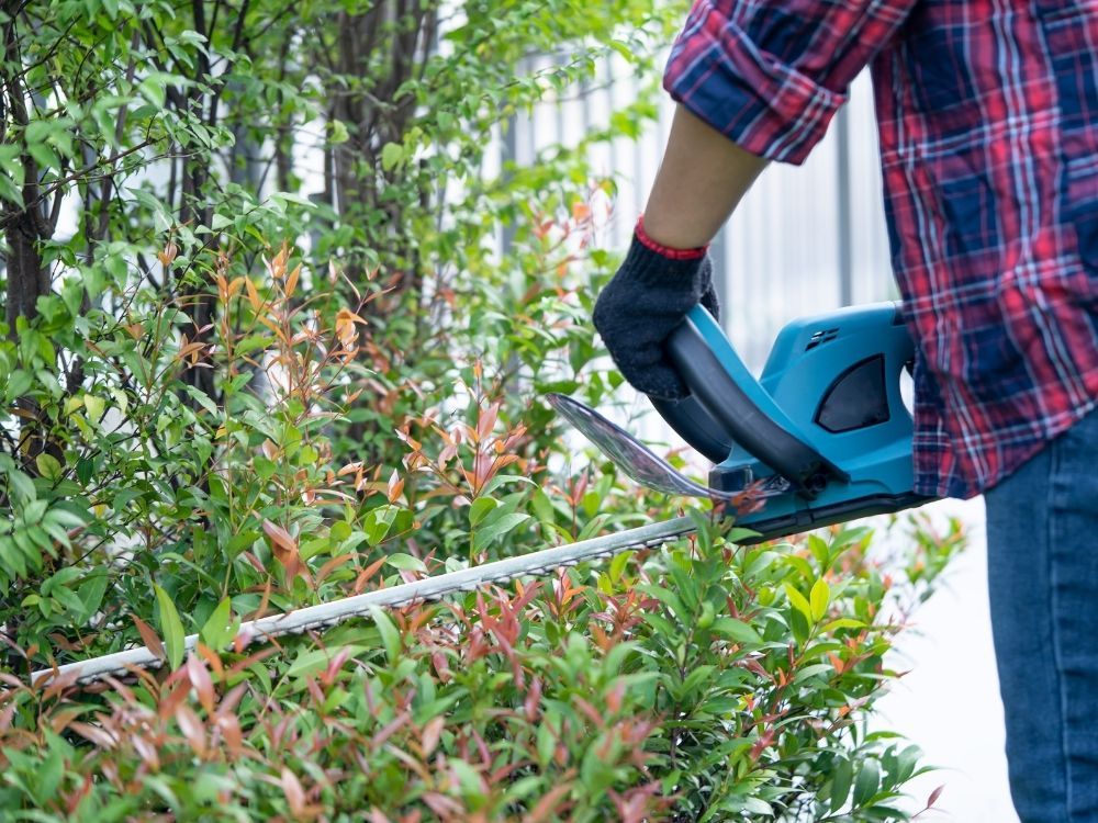 Hedge Trimming