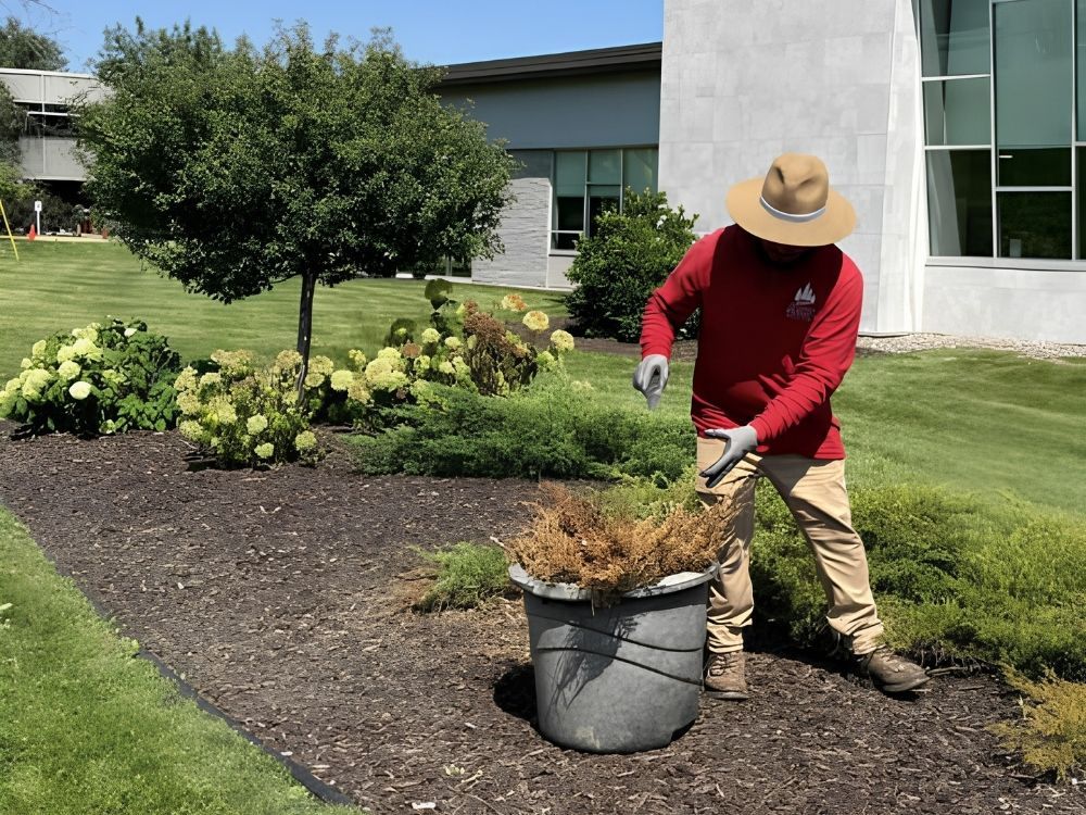 Residential landscaping by Madison Daniel's Landscaping
