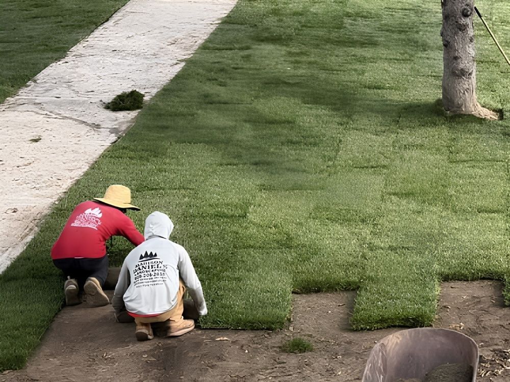 Residential sod install by Madison Daniel's Landscaping