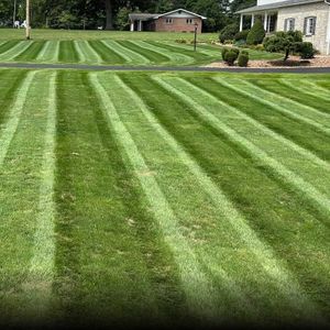 lawn-care-services-in-madison-wi.jpg