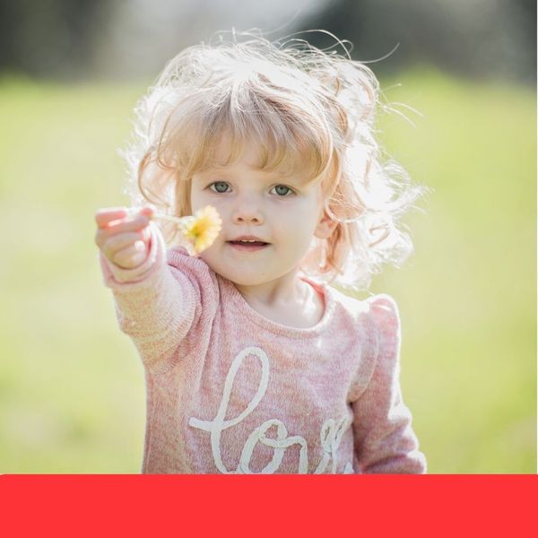 little girl holding out dandelion little girl holding out dandelion