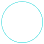 checklist icon