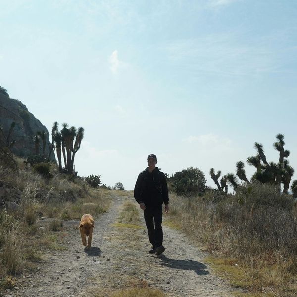 4 Tips for Exploring Caddo Mills with Your Furry Friends - 3.jpg