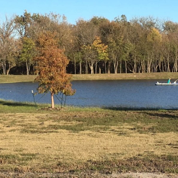 A person kayaking at a lake