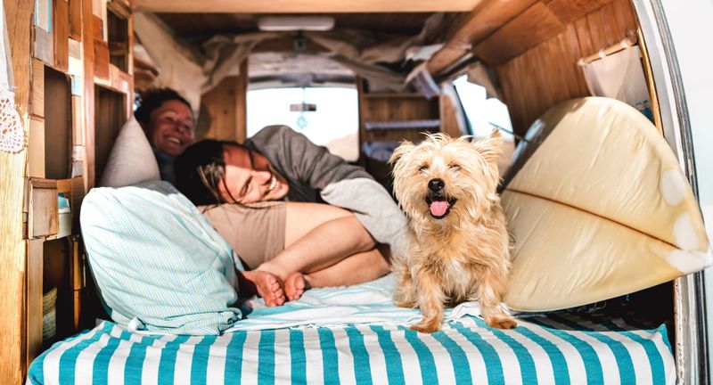 4 Tips for Exploring Caddo Mills with Your Furry Friends - Hero.jpg