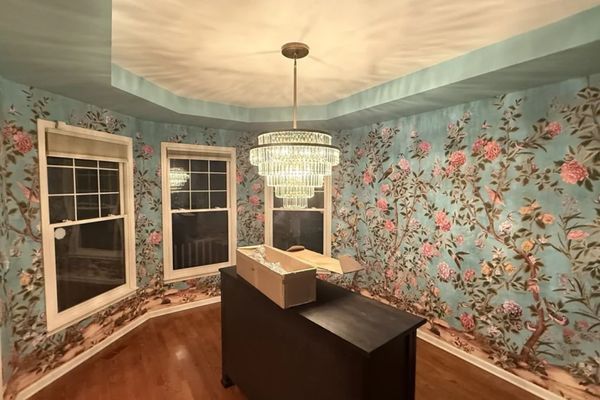 Pink rose hallway wallppaer design