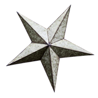 Star Icon.png