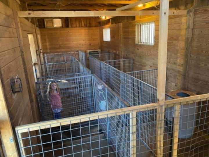 girl stands in animal pen 