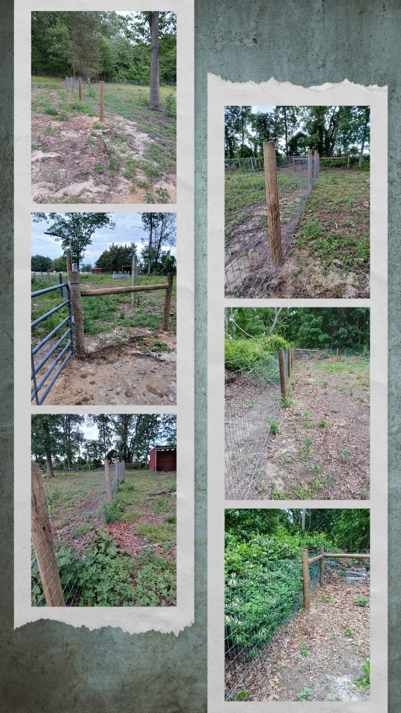 before and after fence photos