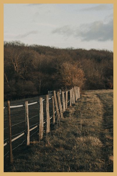 Home Img 1.jpg