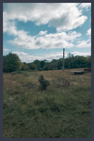 farm landscape with natural grasses 