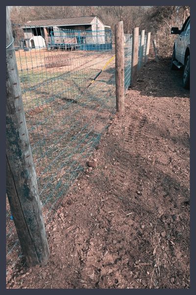 livestock fence livestock fence