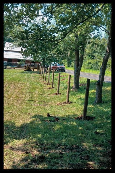 1 Livestock Fence.jpg