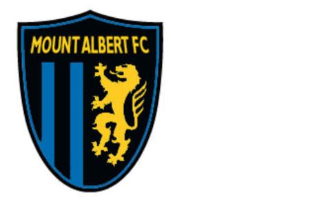 Mount Albert Lions Soccer Club
