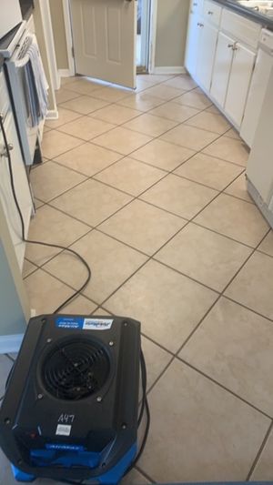 Kitchen Tiles After Cleaning