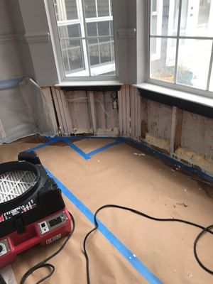 Mold Remediation Near Windows