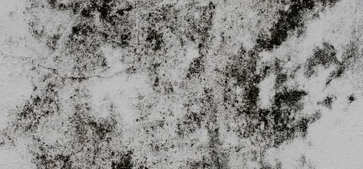 Mold Remediation Closeup