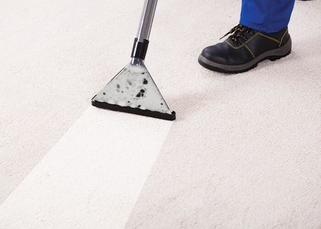 a vacuum cleaning carpet fibers