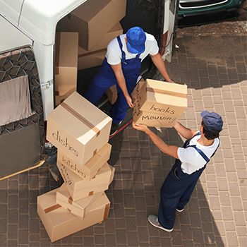 Movers moving boxes