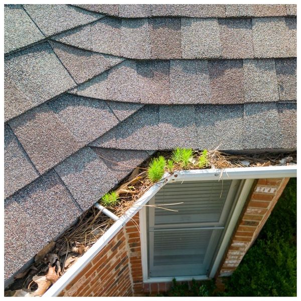 4 Factors That Impact Gutter Guard System 4.jpg