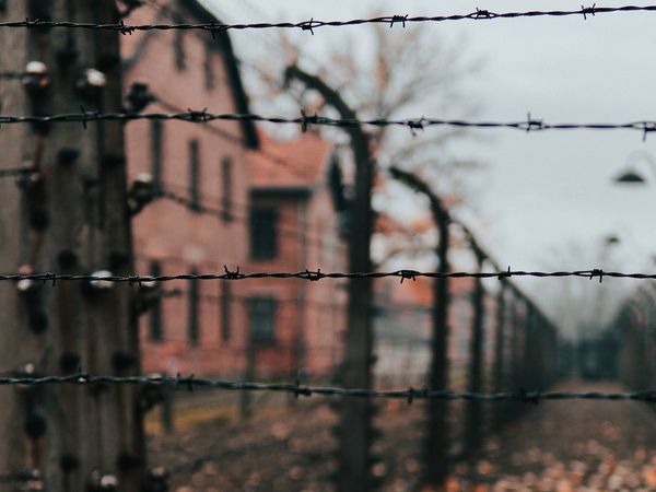 A barbed wire fence at Auschwitz