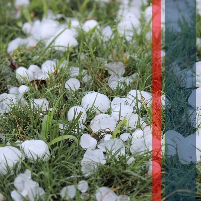 hail in grass