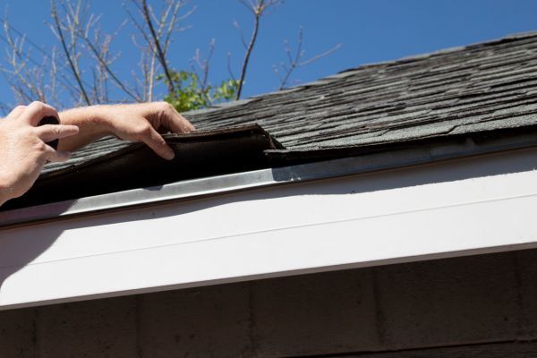 inspecting roof shingle