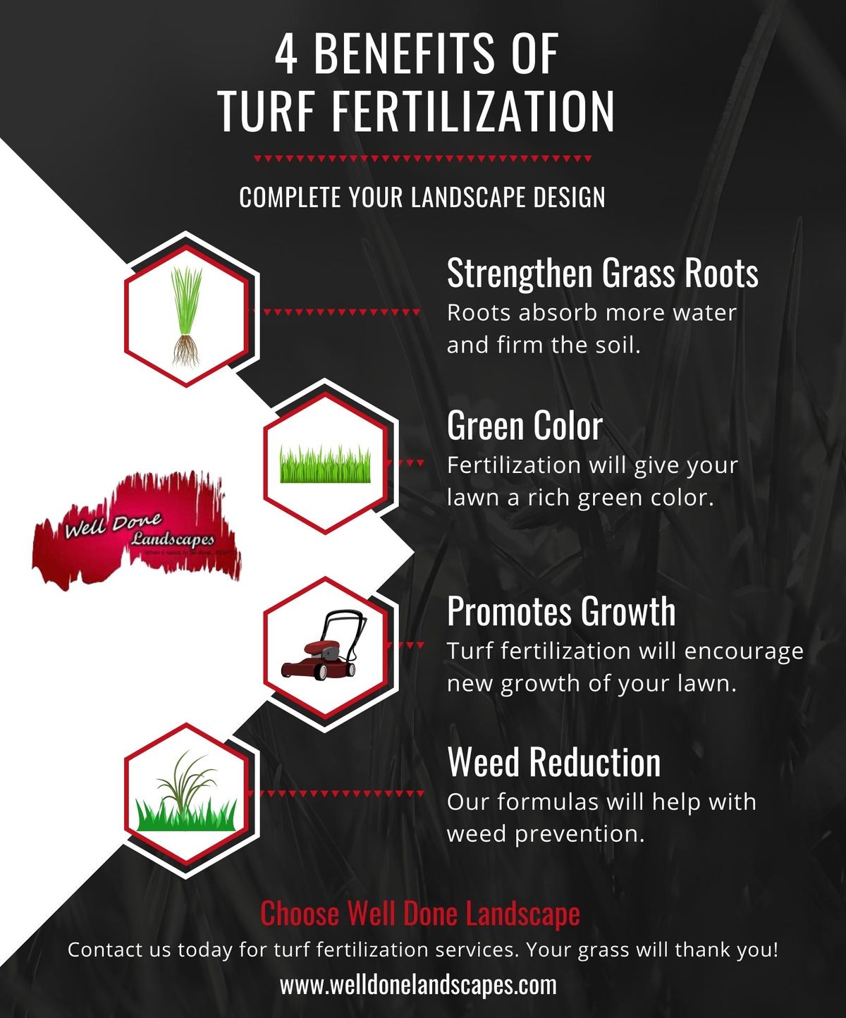4 Benefits of Turf Fertilization  infographic