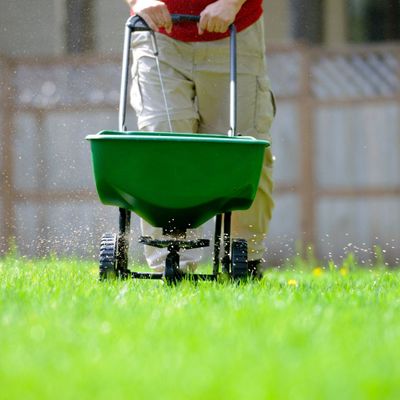 person fertilizing a lawn