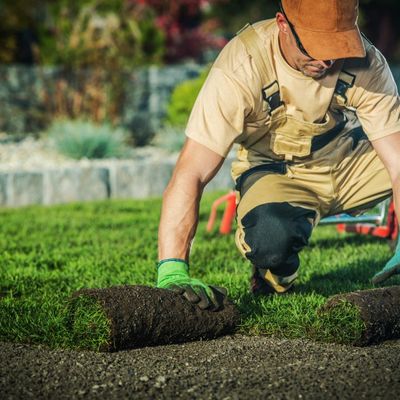 person installing sod