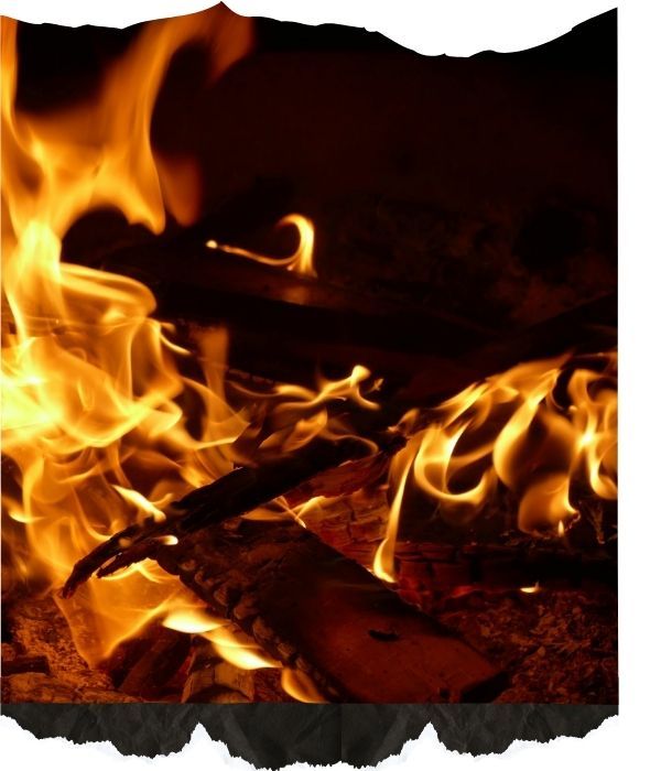 Firewood 1.jpg