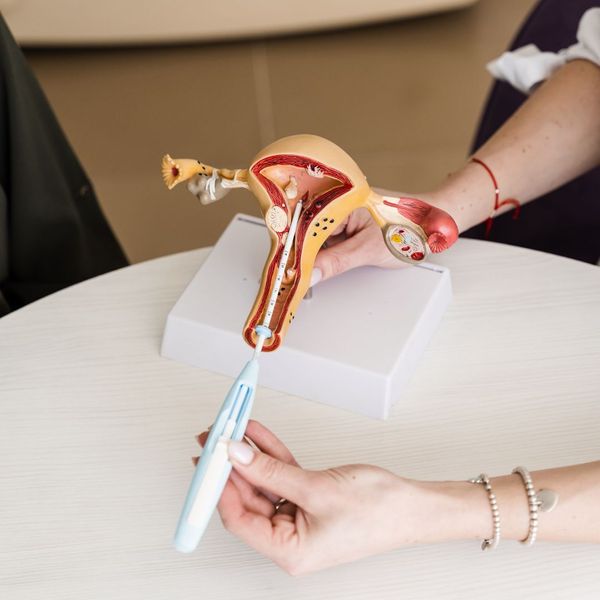 iud demonstration