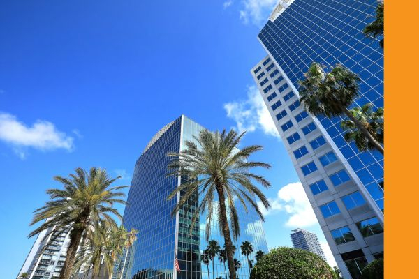 Tampa, FL skyline.