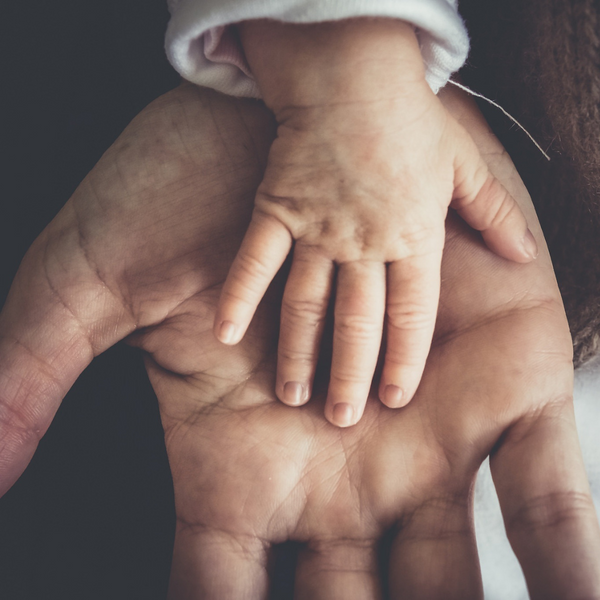 baby's hand in an adult's palm. 