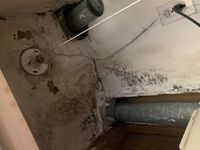 Photo Jun 13 2025, 12 46 52 PM.jpg