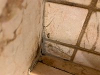 Photo Jun 11 2025, 10 44 29 AM.jpg