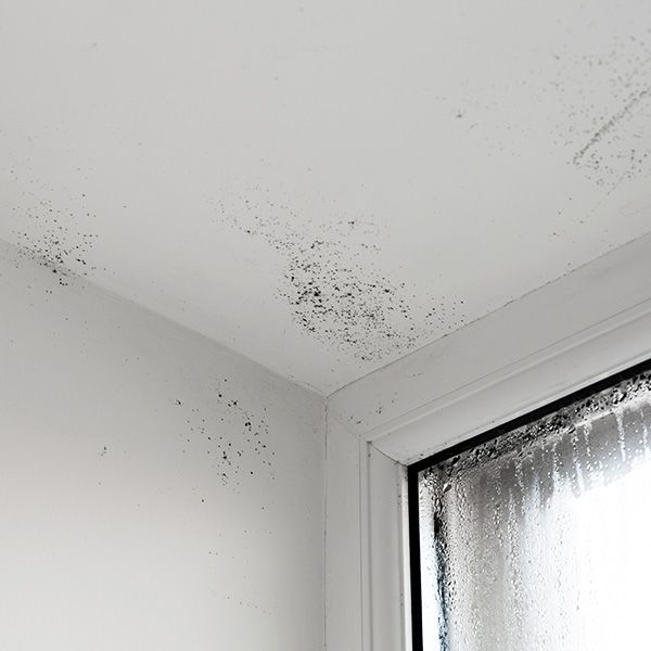 What to Do About a Water Stain on Your Ceiling BB Image 2.jpg