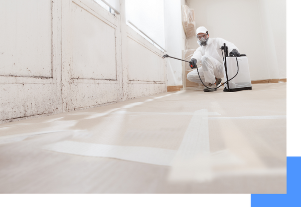 image of mold remediation