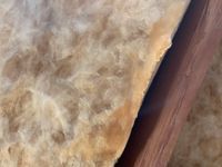 Photo May 25 2025, 8 20 50 PM.jpg