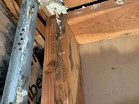 Photo May 25 2025, 8 15 51 PM.jpg