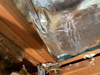 Photo May 25 2025, 8 15 49 PM.jpg