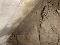 Photo Jul 03 2025, 10 02 11 AM.jpg