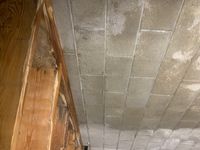 Photo Jul 03 2025, 10 02 14 AM.jpg