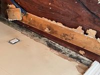 Photo May 27 2025, 11 22 41 AM.jpg