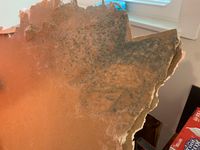 Photo Apr 25 2025, 11 12 41 AM.jpg