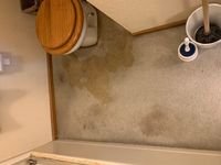 Photo May 26 2025, 11 49 04 AM.jpg