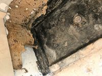 Photo Jul 08 2025, 4 41 45 PM.jpg