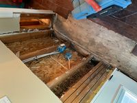 Photo May 27 2025, 1 03 54 PM.jpg